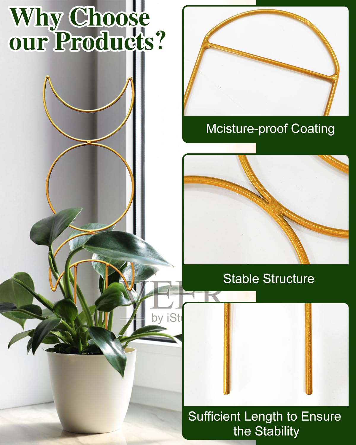 Sousac gold plant trellis rectangle design enhances small pot plant display.