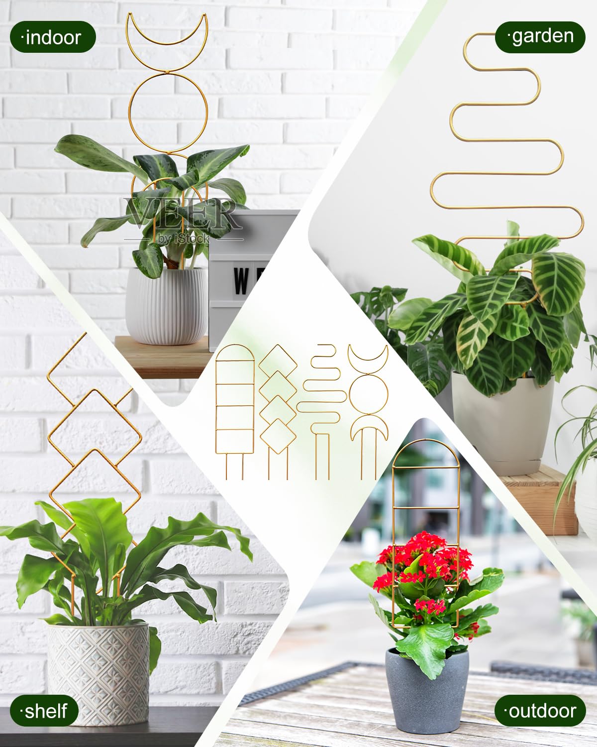 Sousac gold trellis round design aids Hoya and Monstera climbing.