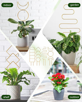 Sousac gold trellis round design aids Hoya and Monstera climbing.