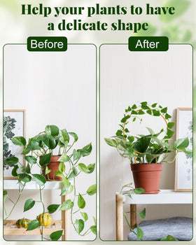 Sousac indoor plants support circle trellis, versatile for various pots.