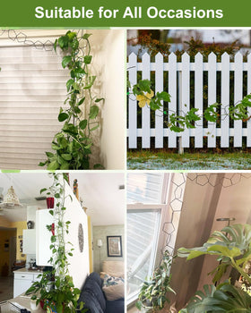 Sousac supports climbing plants on walls, balconies, or fences with secure mounting