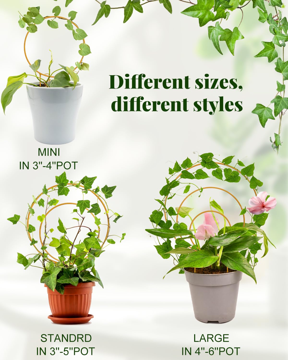 Sousac round trellis circle design, 10x7-5 inches, ideal for larger climbers.