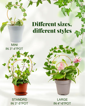 Sousac round trellis circle design, 10x7-5 inches, ideal for larger climbers.