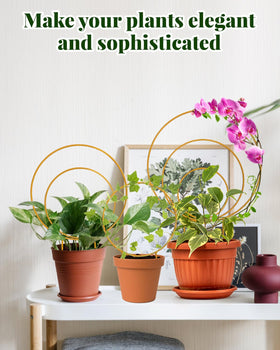 Sousac round trellis circle design, 8x6 inches, sturdy plant support.