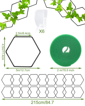 Sousac wall trellis hexagon rings adds decorative support for hoyas and ivy