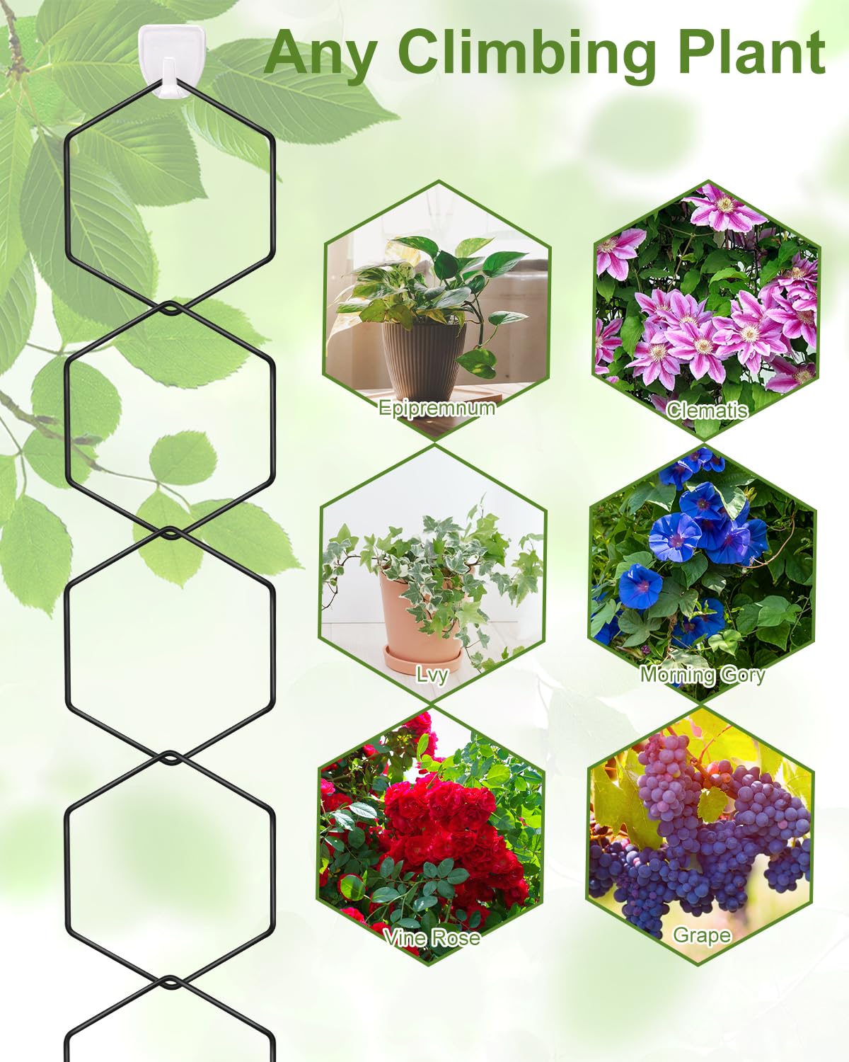 Sousac decorative indoor trellis enhances plant display and interior style