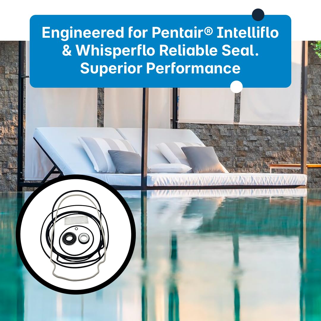 Instruction guide included for easy Pentair pump repair