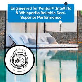 Instruction guide included for easy Pentair pump repair