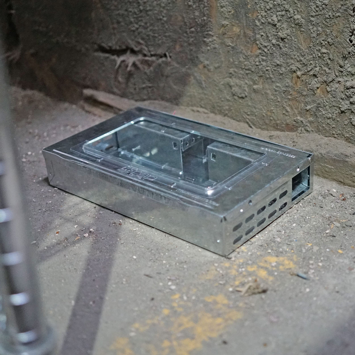 Compact two-trap package ready for discreet placement around the home.