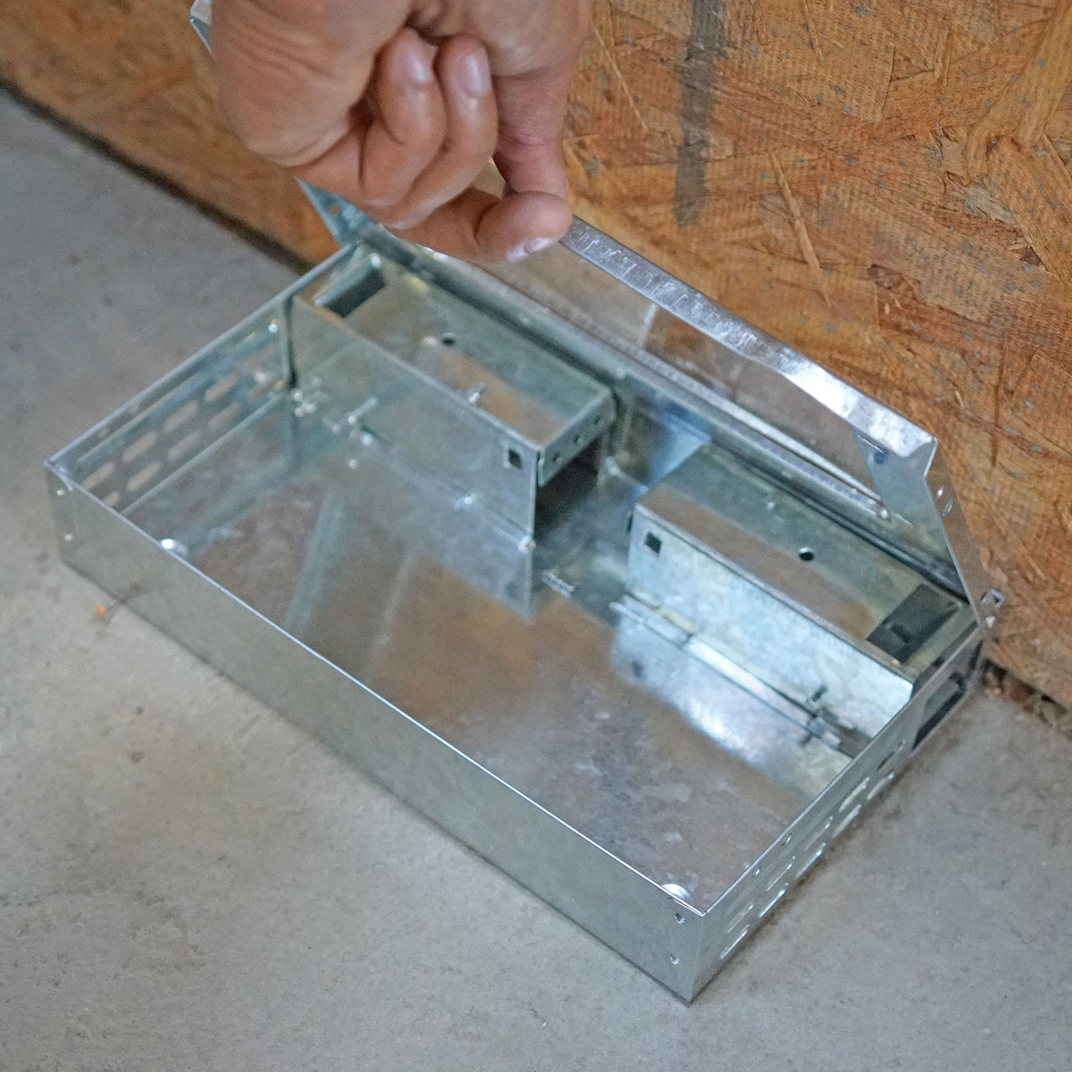 Releasing captured mice is simple with the trap's safe action.