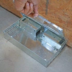 Releasing captured mice is simple with the trap's safe action.