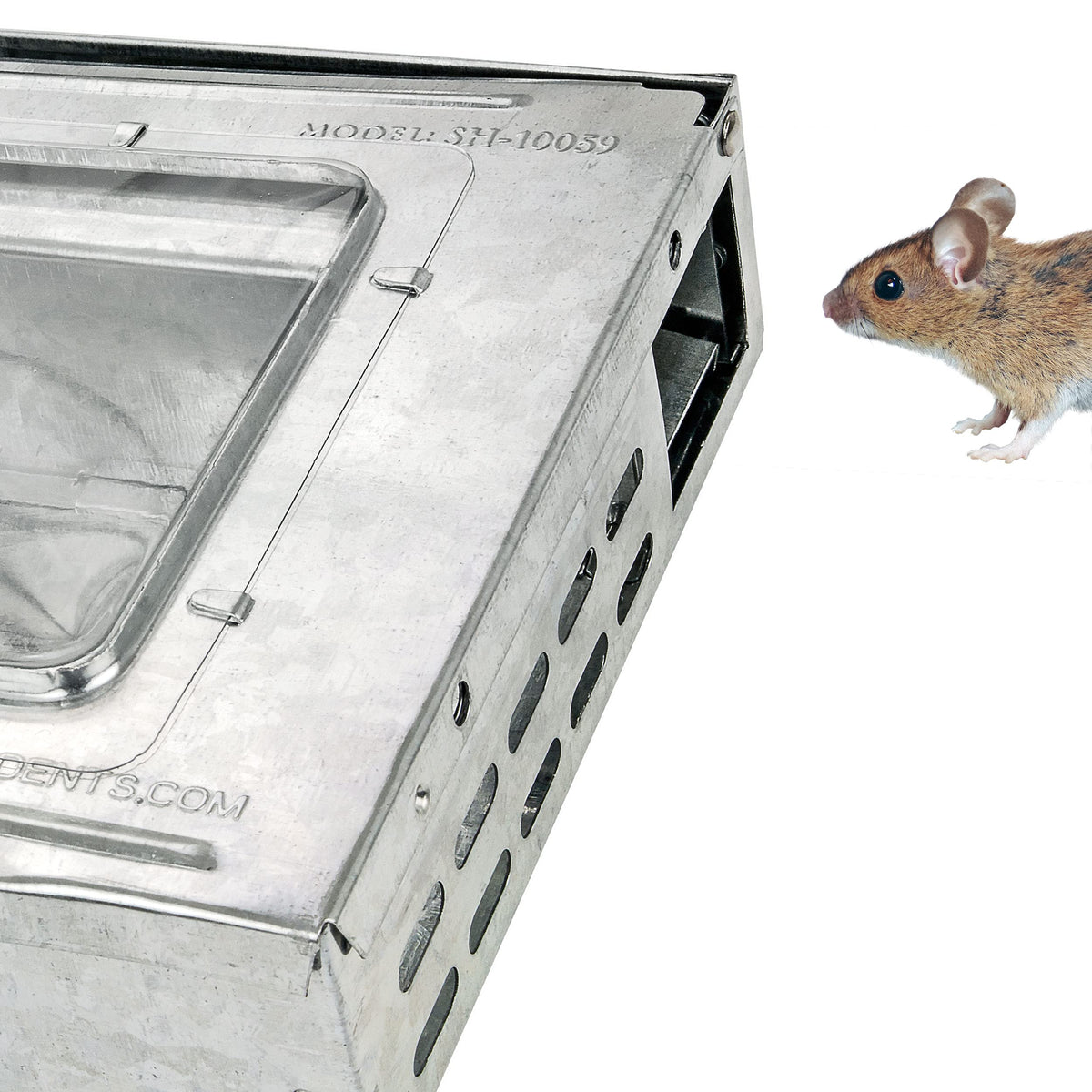 Clear window and compact dimensions show trap status at a glance.