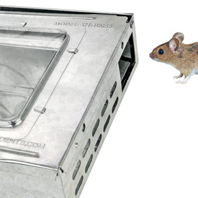 Clear window and compact dimensions show trap status at a glance.