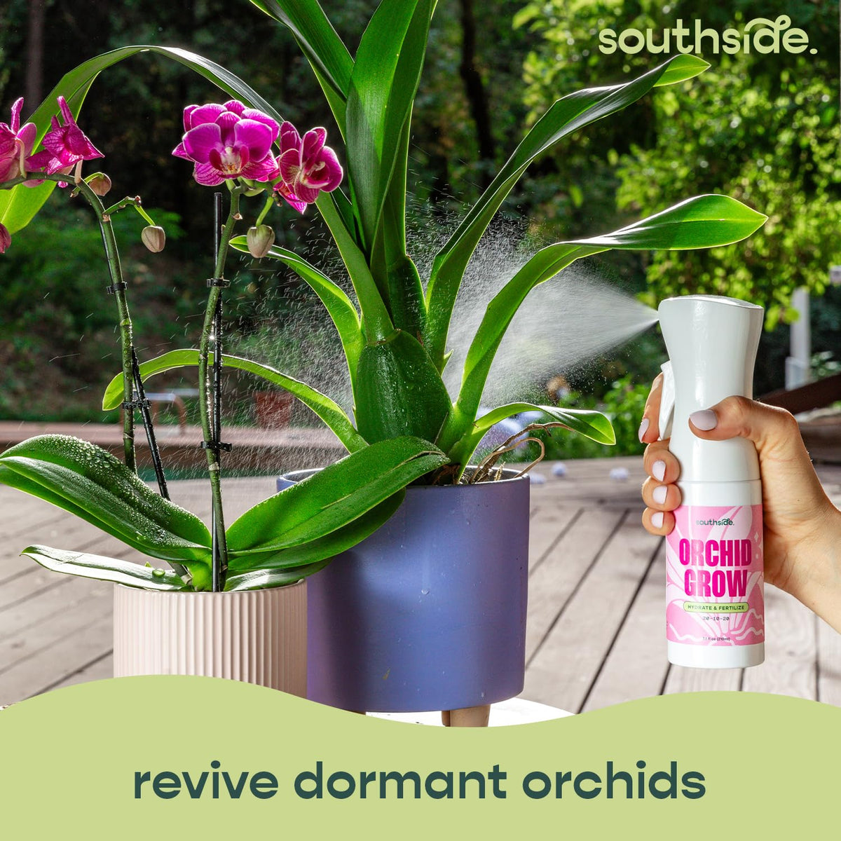 Southside Plants Orchid Bloom Spray highlights phosphorous-rich nutrition for blooming.