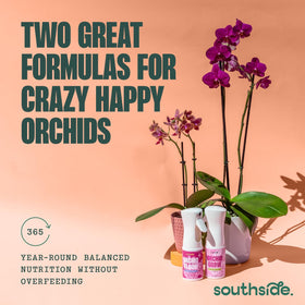 Southside Plants Orchid Grow Spray demonstrates leaf-friendly application for growth.