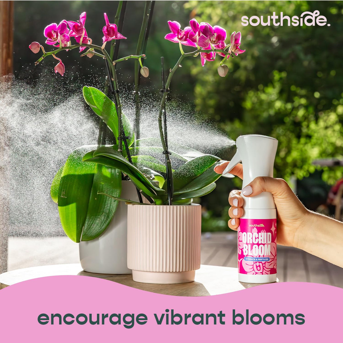 Southside Plants Orchid 3-1-3 label shows balanced dormant-season nutrition.