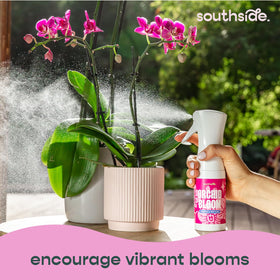 Southside Plants Orchid 3-1-3 label shows balanced dormant-season nutrition.