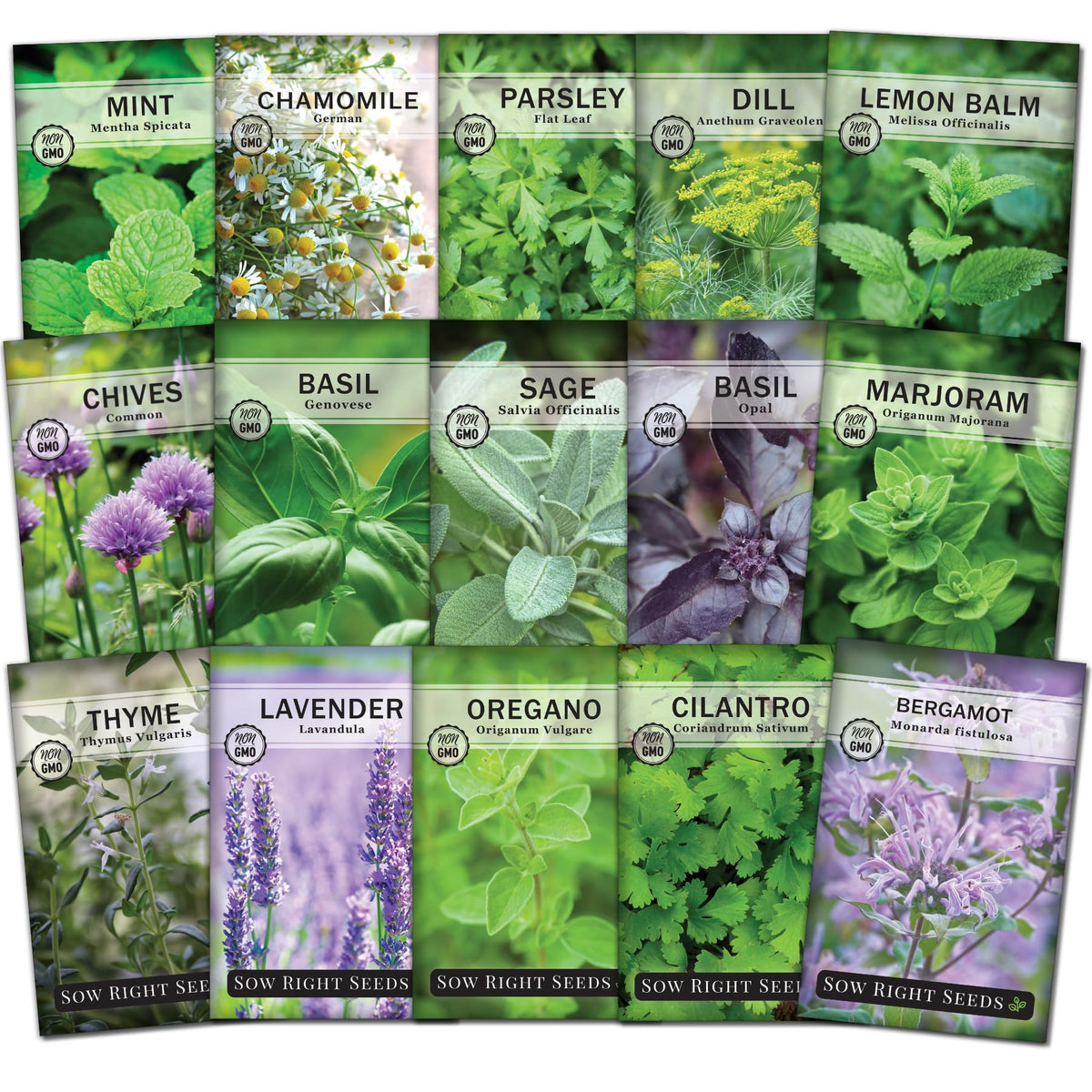 Sow Right Seeds 15-herb collection packets ready for indoor kitchen garden