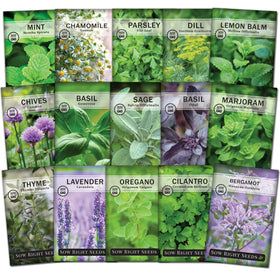 Sow Right Seeds 15-herb collection packets ready for indoor kitchen garden