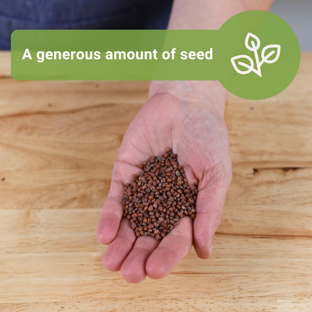 Sow Right Seeds germination in 3-5 days under 55-65°F helps quick garden turnover