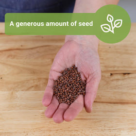 Sow Right Seeds germination in 3-5 days under 55-65°F helps quick garden turnover