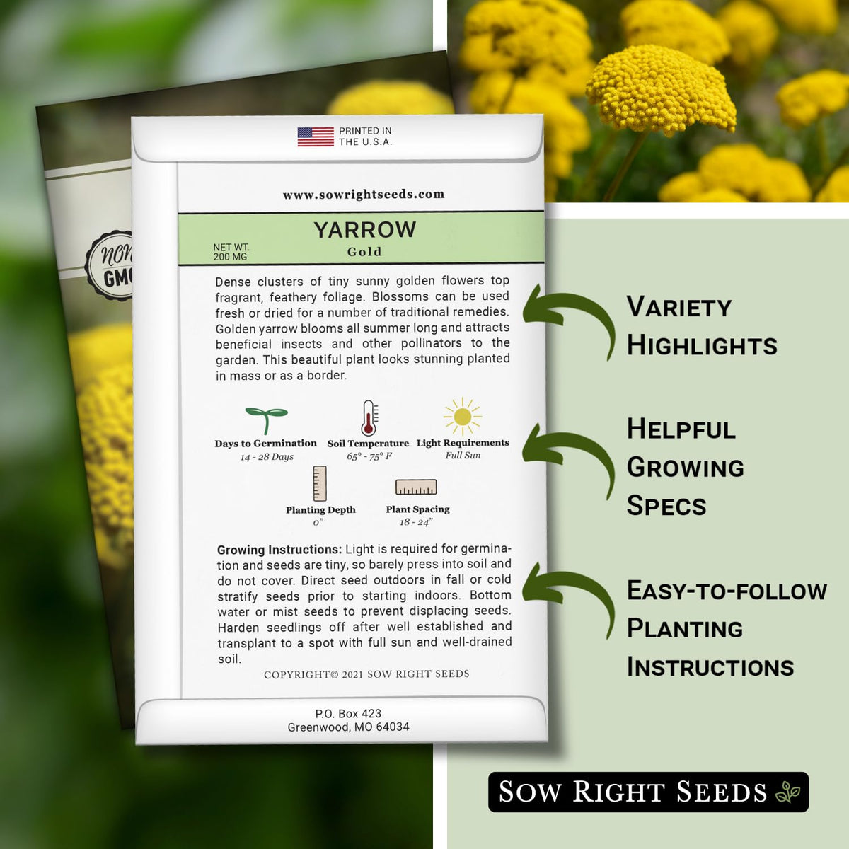 Sow Right Seeds Achillea millefolium foliage: feathery leaves add texture