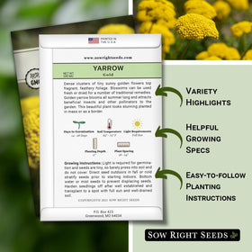 Sow Right Seeds Achillea millefolium foliage: feathery leaves add texture