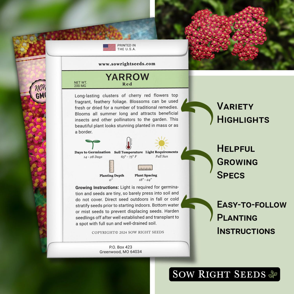 Sow Right Seeds Achillea red yarrow flower cluster ready for bouquet or dye