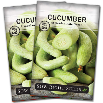 Sow Right Seeds Armenia Pale Green cucumber seed packet for home garden planting