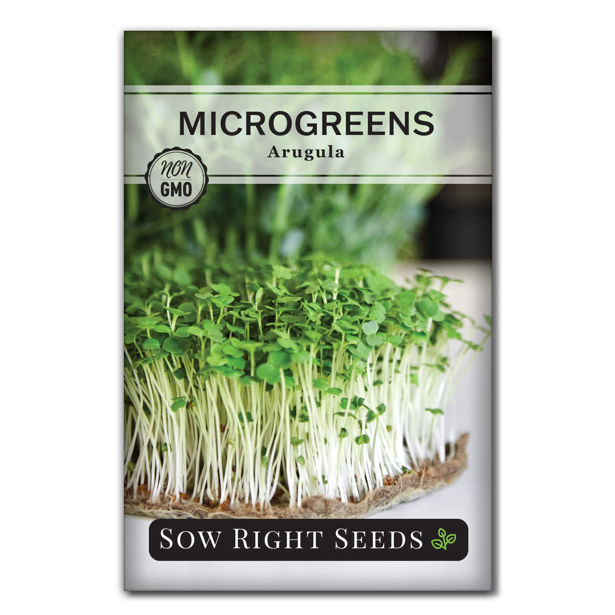 Sow Right Seeds arugula microgreen seed packet ready for quick indoor harvest.