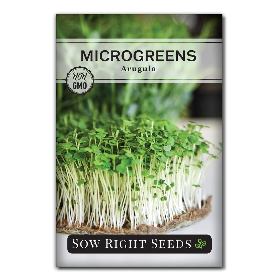 Sow Right Seeds arugula microgreen seed packet ready for quick indoor harvest.
