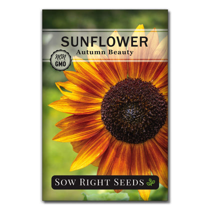 Sow Right Seeds Autumn Beauty seeds packet for giant blooms in sunny gardens