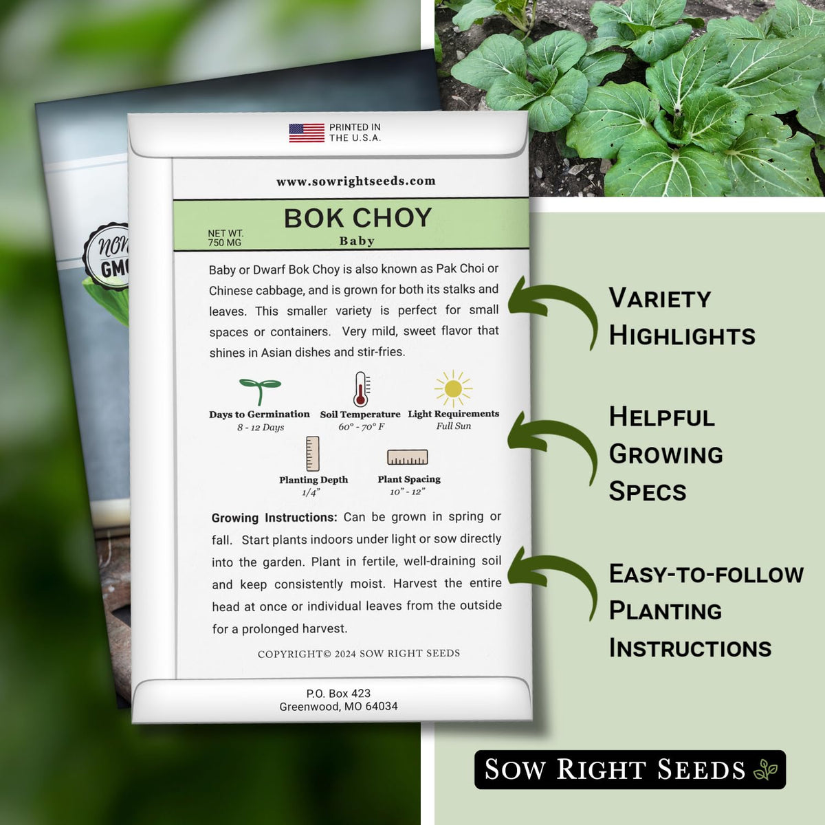 Sow Right Seeds Baby Bok Choy germination image highlighting quick sprouting.
