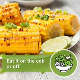 Sow Right Seeds Bantam Sweet Corn harvest-ready ears for sides and recipes.