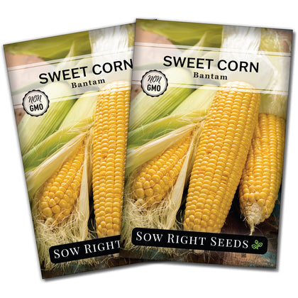 Sow Right Seeds Bantam Sweet Corn seed packet ready for spring planting in a sunny bed.