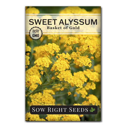 Sow Right Seeds Basket of Gold seed packet showing golden blooms for borders and containers.