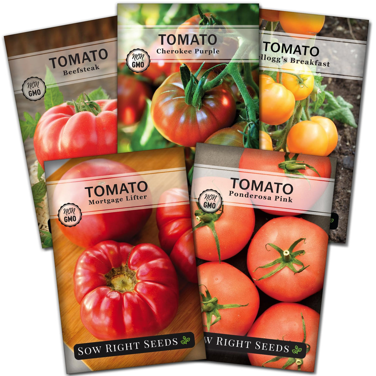 Sow Right Seeds Beefsteak tomato seeds pack for home gardening, ideal for juicy slicing.