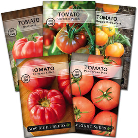 Sow Right Seeds Beefsteak tomato seeds pack for home gardening, ideal for juicy slicing.