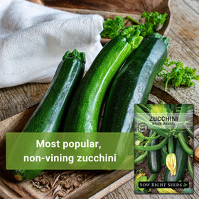 Sow Right Seeds Black Beauty Zucchini fruit close-up with glossy skin.