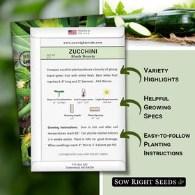Sow Right Seeds Black Beauty Zucchini seedling in soil for garden planting.