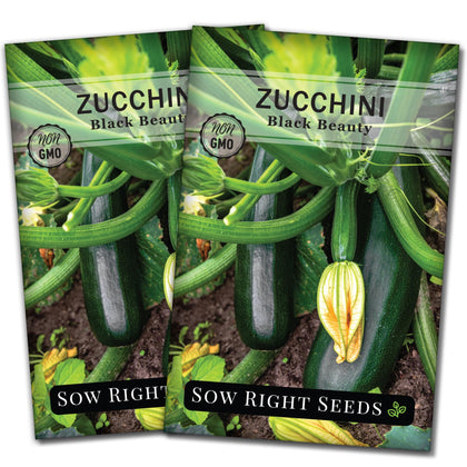 Sow Right Seeds Black Beauty Zucchini seeds packet for home gardening.