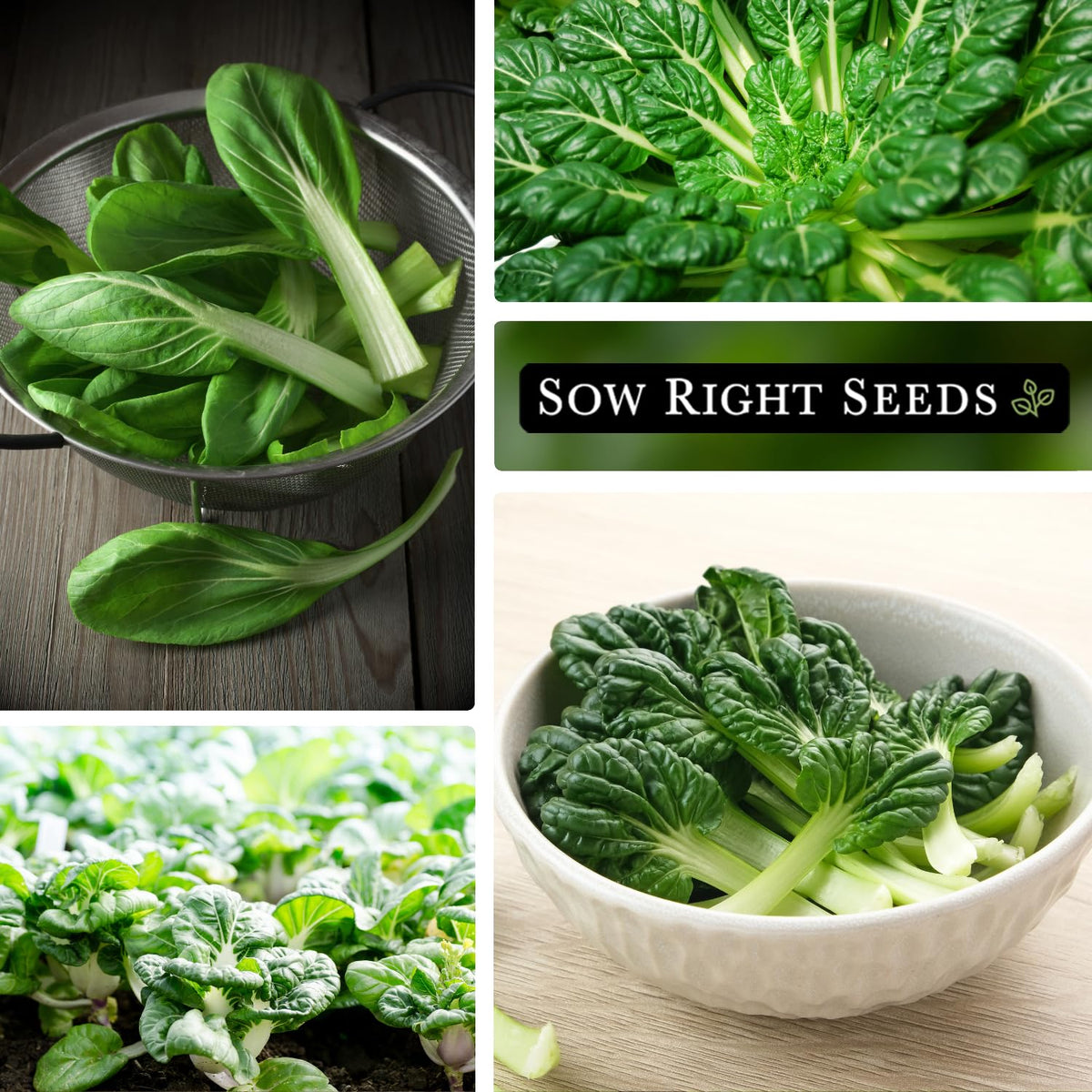 Baby leaves and mature leaves hold up in stir-fries and salads.