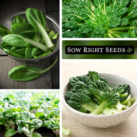Baby leaves and mature leaves hold up in stir-fries and salads.