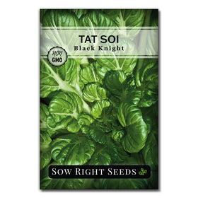 Sow Right Seeds Black Knight Tatsoi leaves close-up, rich dark green for fresh dishes.