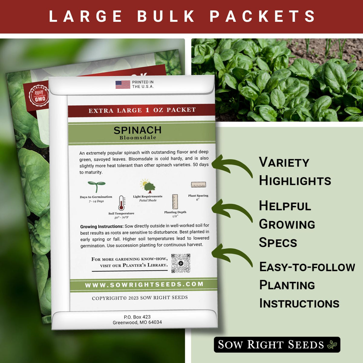 Sow Right Seeds Bloomsdale spinach garden planting scene for quick germination.