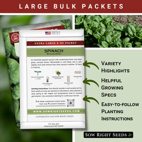 Sow Right Seeds Bloomsdale spinach garden planting scene for quick germination.