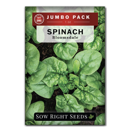 Sow Right Seeds Bloomsdale spinach seeds closeup for high-yield greens.