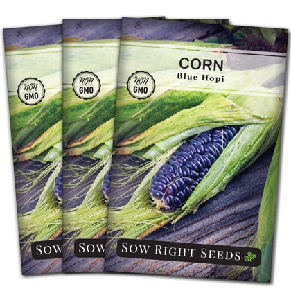 Sow Right Seeds Blue Hopi corn seed packet ready for home planting.