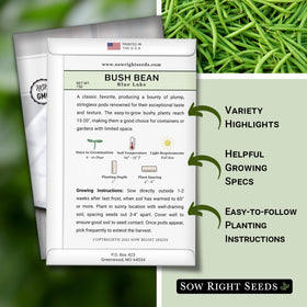 Front view of the Sow Right Seeds Blue Lake bean seed packet for home garden planting