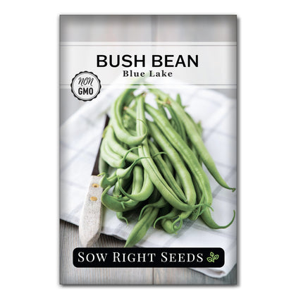 Blue Lake bush bean seeds from Sow Right Seeds, ready for planting in a sunny garden for harvest